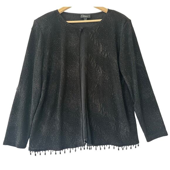 NWT Dressbarn Collection Shimmer Top 14 16 L XL Beaded Fringe - Picture 1 of 11